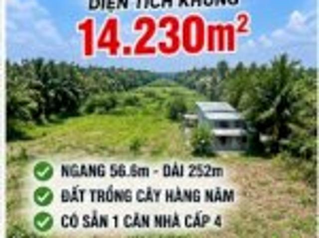 Bất động sản bán tại Thành phố Hồ Chí Minh, Hồ Chí Minh