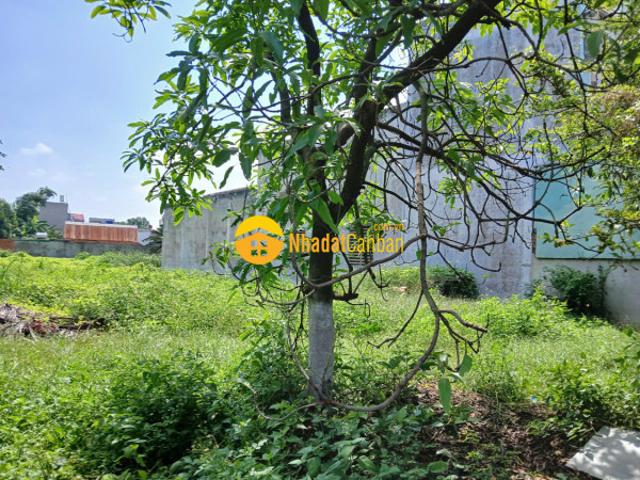 Mặt bằng bán