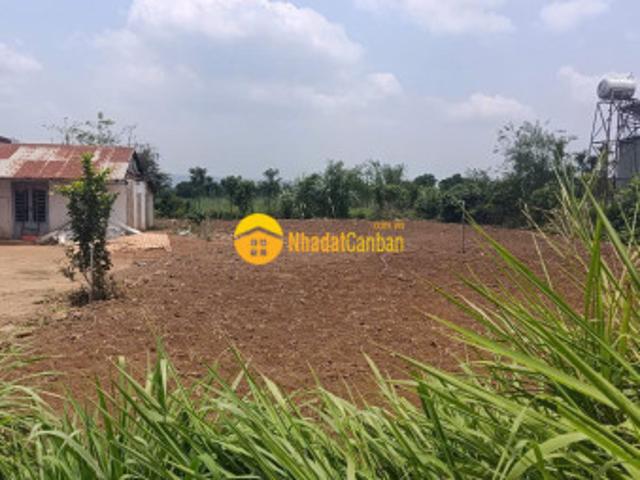 Mặt bằng bán