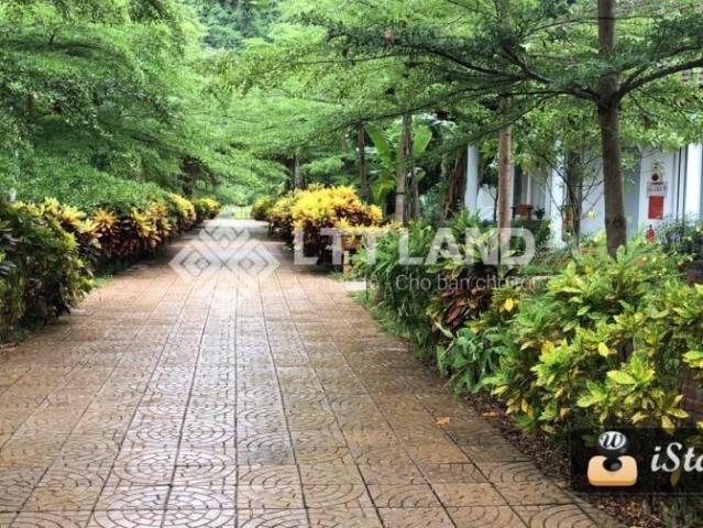 Bất động sản bán tại Hà Nội