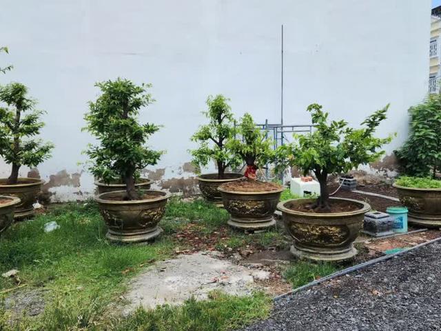Nhà bán tại Gia Lai
