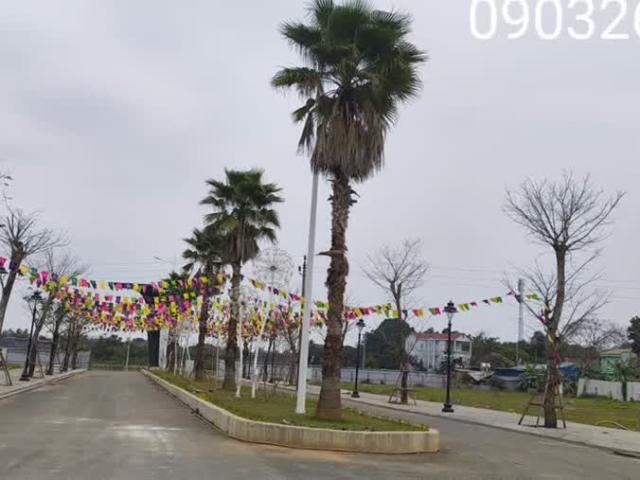 Biệt Thự bán