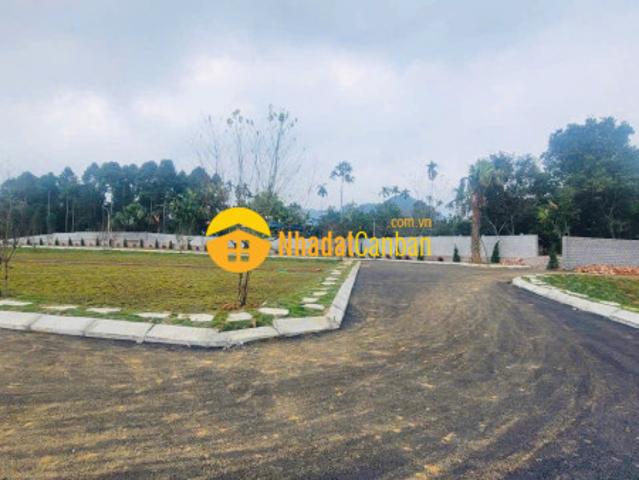 Mặt bằng bán