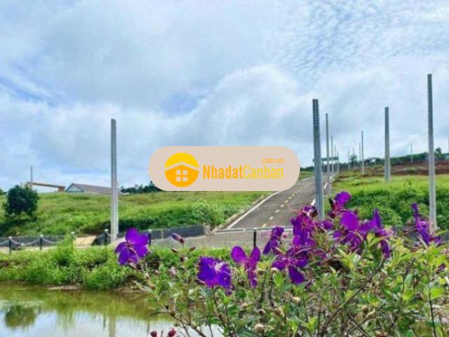 Mặt bằng bán