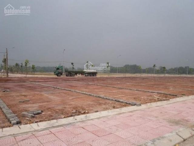 Bất động sản bán tại Hồ Chí Minh