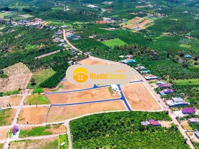 Mặt bằng bán