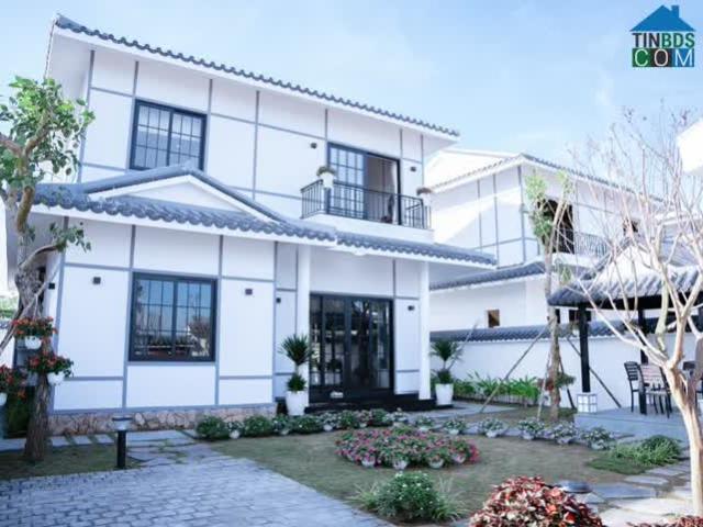Biệt Thự bán