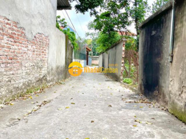 Mặt bằng bán