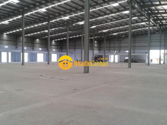 Kho xưởng cho thuê