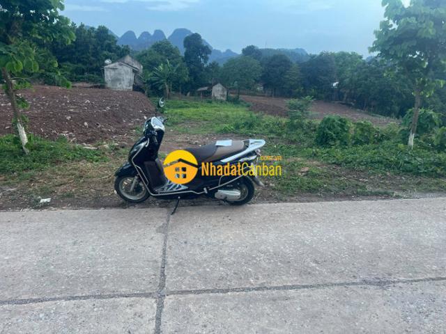 Mặt bằng bán