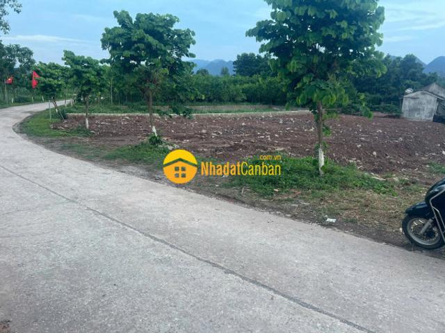 Mặt bằng bán