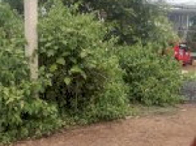 Bất động sản bán