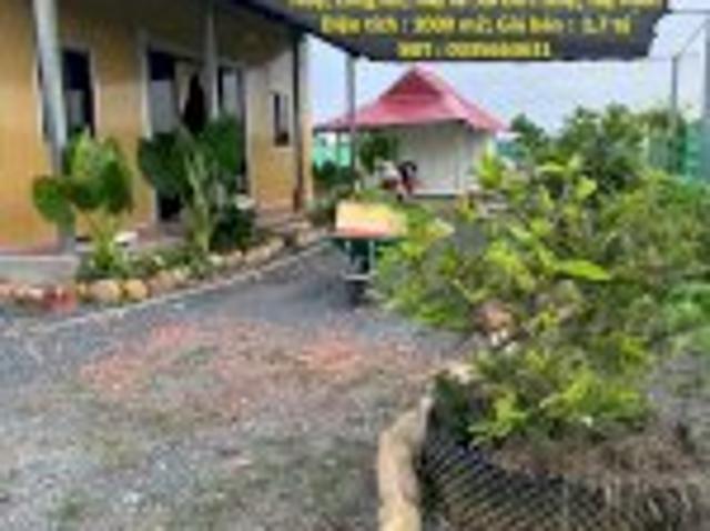 Bất động sản bán tại Hồ Chí Minh