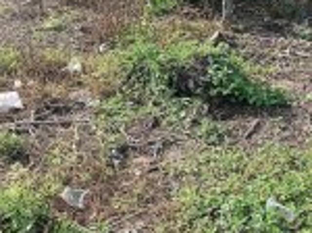 Bất động sản bán tại Trà Vinh
