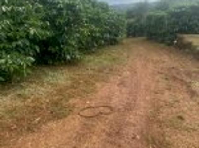 Bất động sản bán