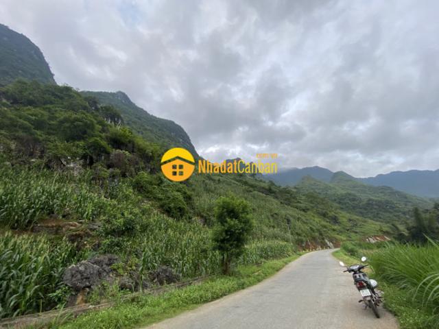 Mặt bằng bán
