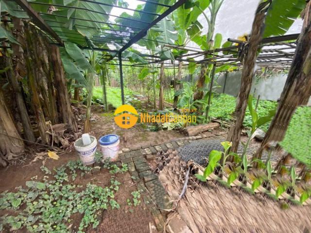 Mặt bằng bán