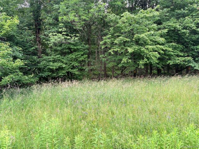 Land for sale in New York