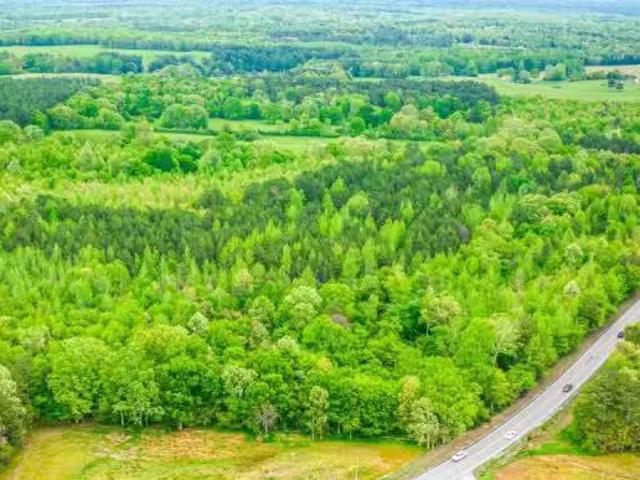 House for rent in Muscle Shoals, Alabama