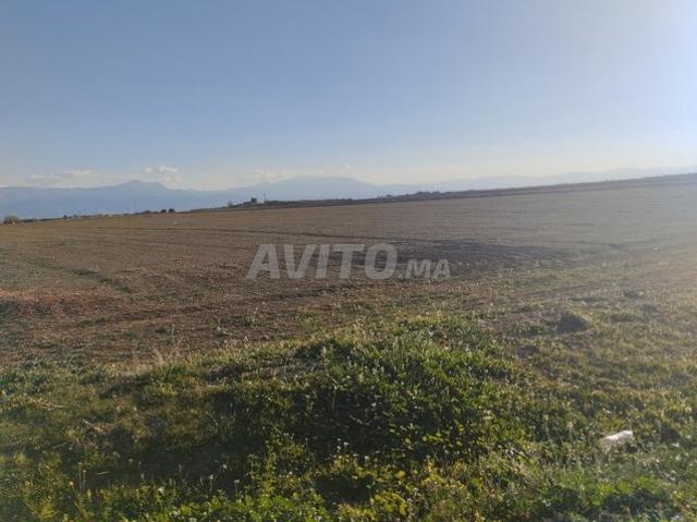 Propriété vente à Kasba Tadla