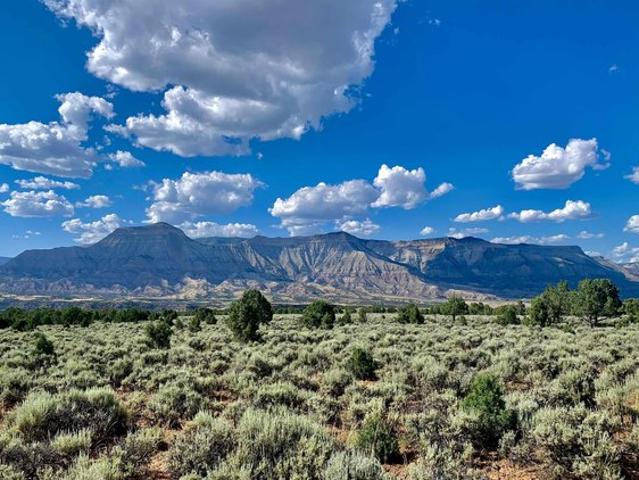 Farm for sale in De Beque, Colorado