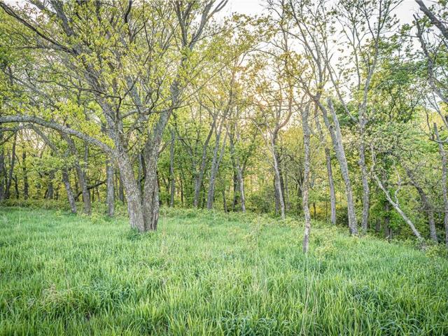 Land for sale in Kansas