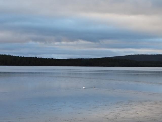 Stuga hyra i Norrbotten