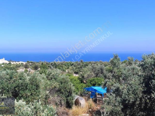 Erdemli, Mersin içerisinde satılık Villa