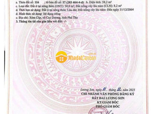 Mặt bằng bán