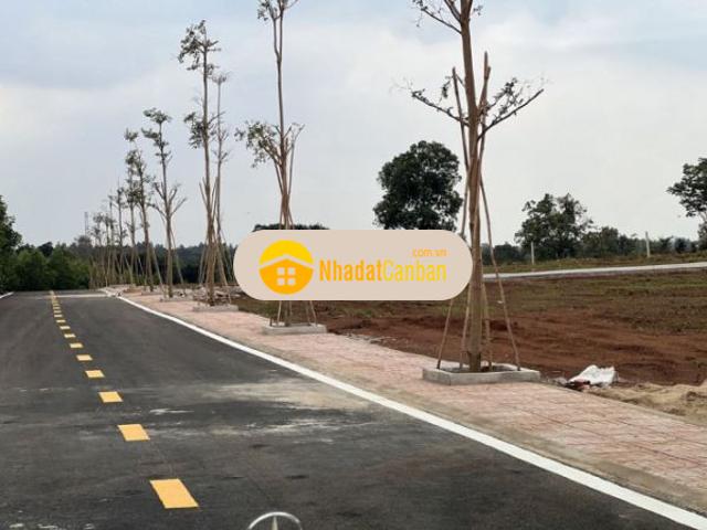 Mặt bằng bán