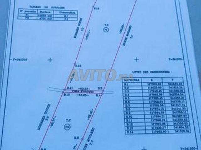 Propriété vente à Oued ed Dahab-Lagouira