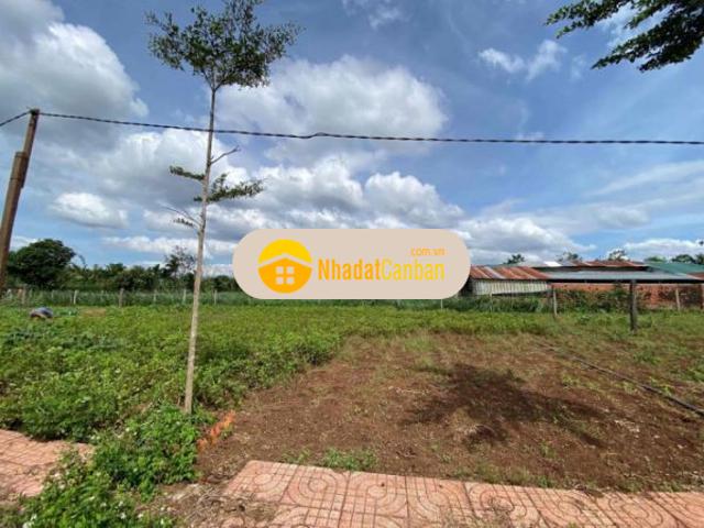 Mặt bằng bán