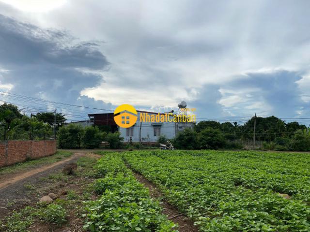 Mặt bằng bán