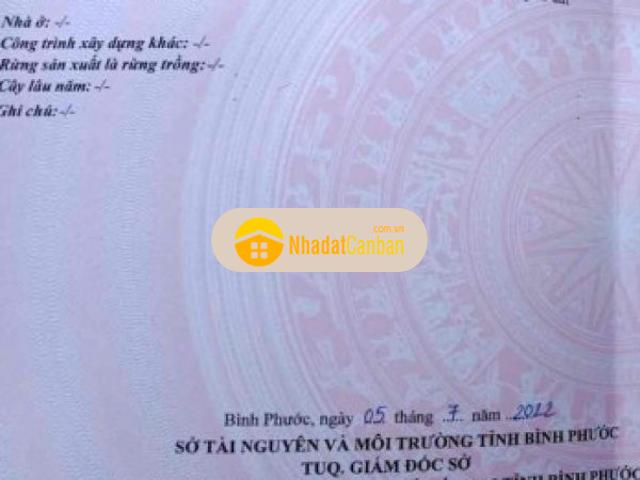 Mặt bằng bán