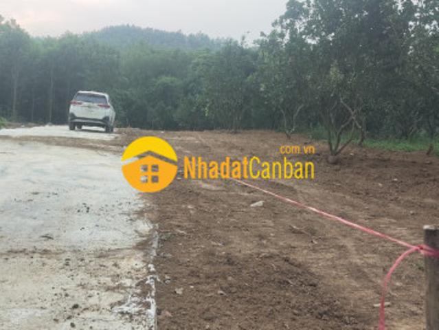 Mặt bằng bán