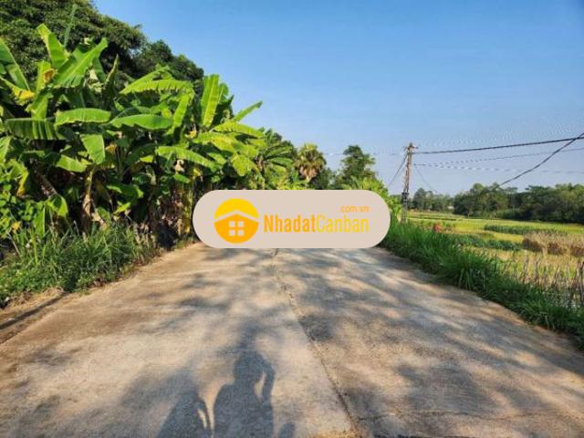 Mặt bằng bán