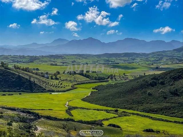 Propriété vente à Tétouan, Tanger-Tétouan