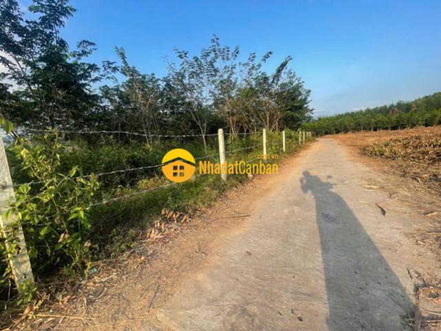 Mặt bằng bán