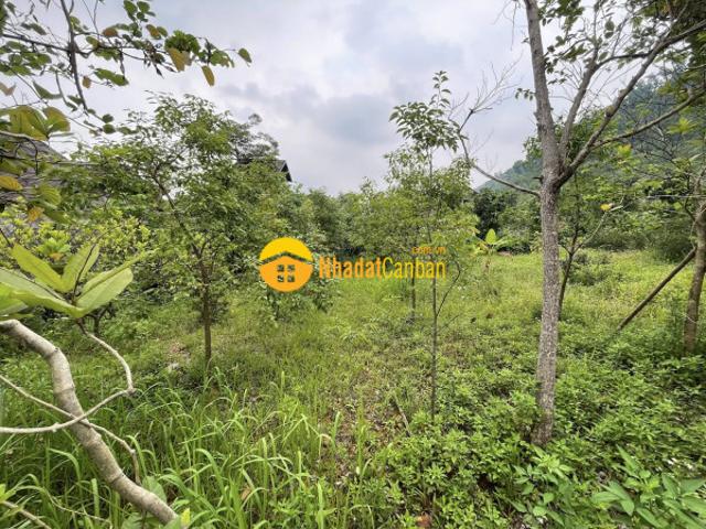 Mặt bằng bán