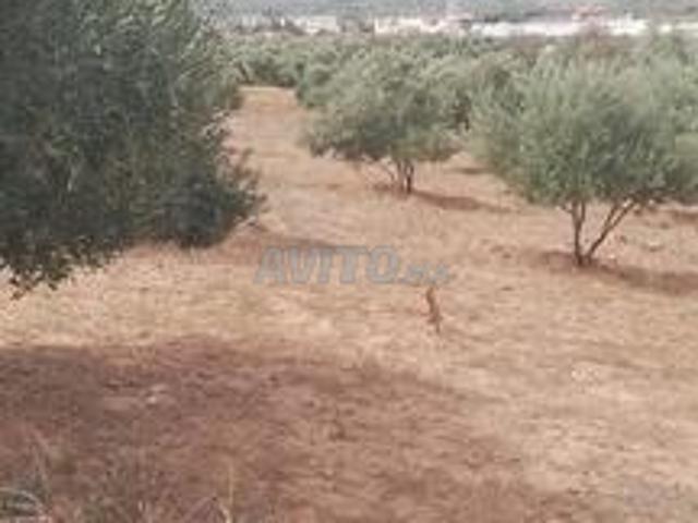 Propriété vente à Tasa