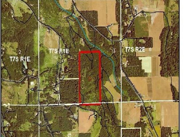 Land for sale in Scotts Mills, Marion County