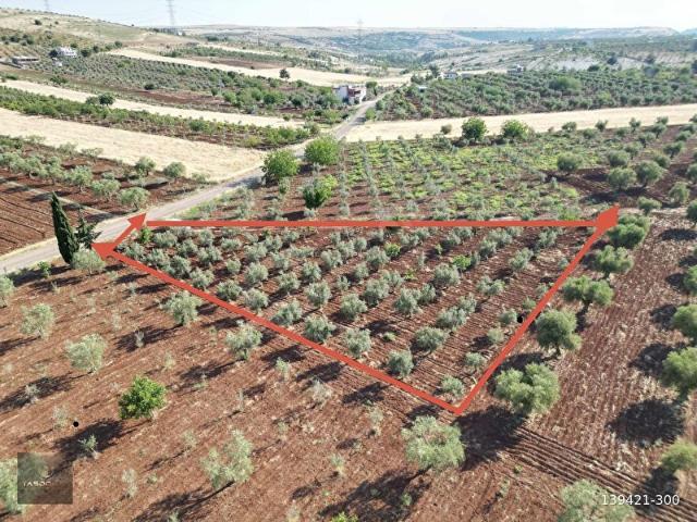 Şahinbey, Gaziantep içerisinde satılık Arsa