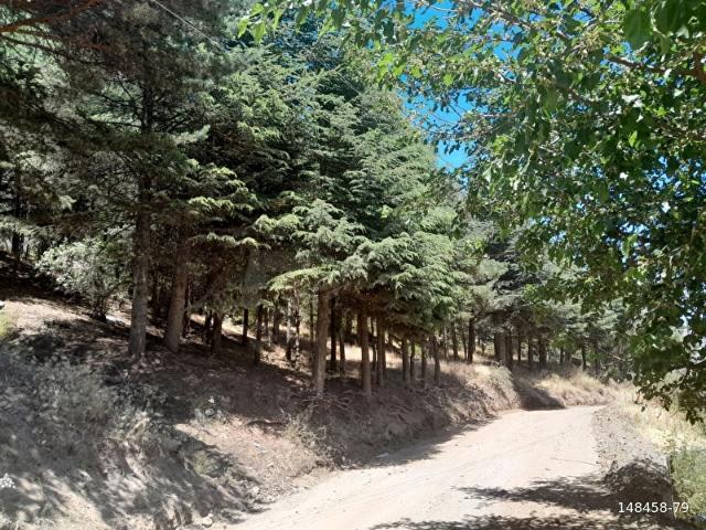 Giresun içerisinde satılık Arsa