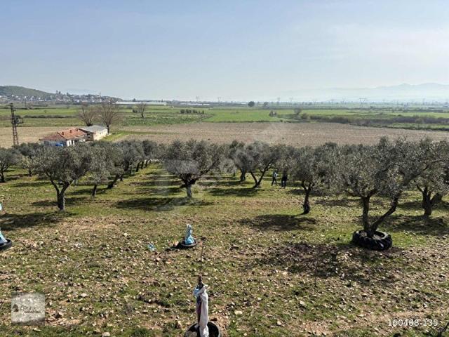 Torbali, İzmir içerisinde satılık Arsa