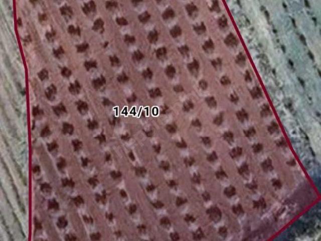 Tarsus, Mersin içerisinde satılık mülk