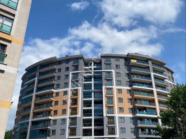 Rize Merkez, Rize içerisinde kiralık mülk