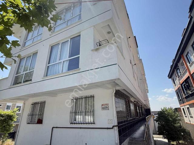 Arnavutköy, İstanbul içerisinde kiralık mülk