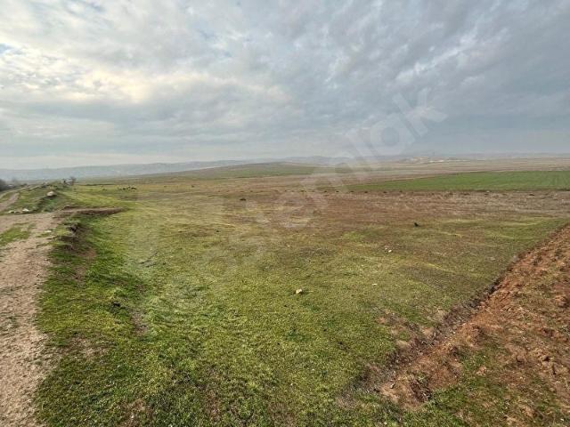 Çavlum, Odunpazarı içerisinde satılık Arsa