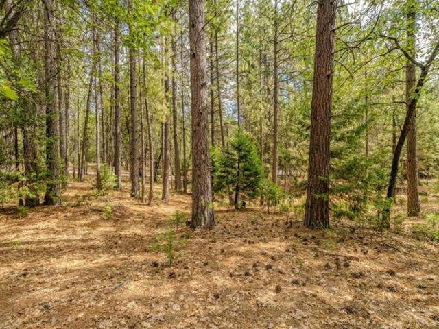 Land for sale in Pine Grove, California