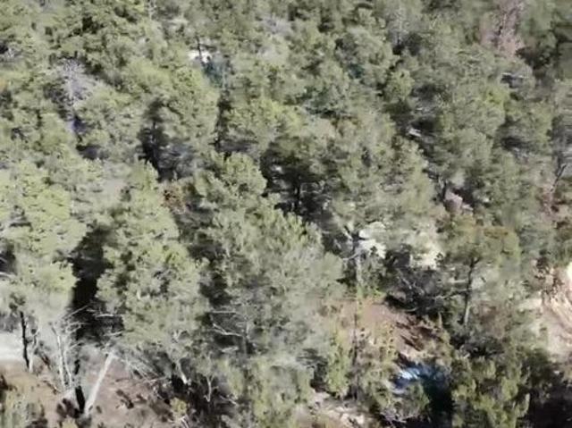 Land for sale in Placitas, New Mexico